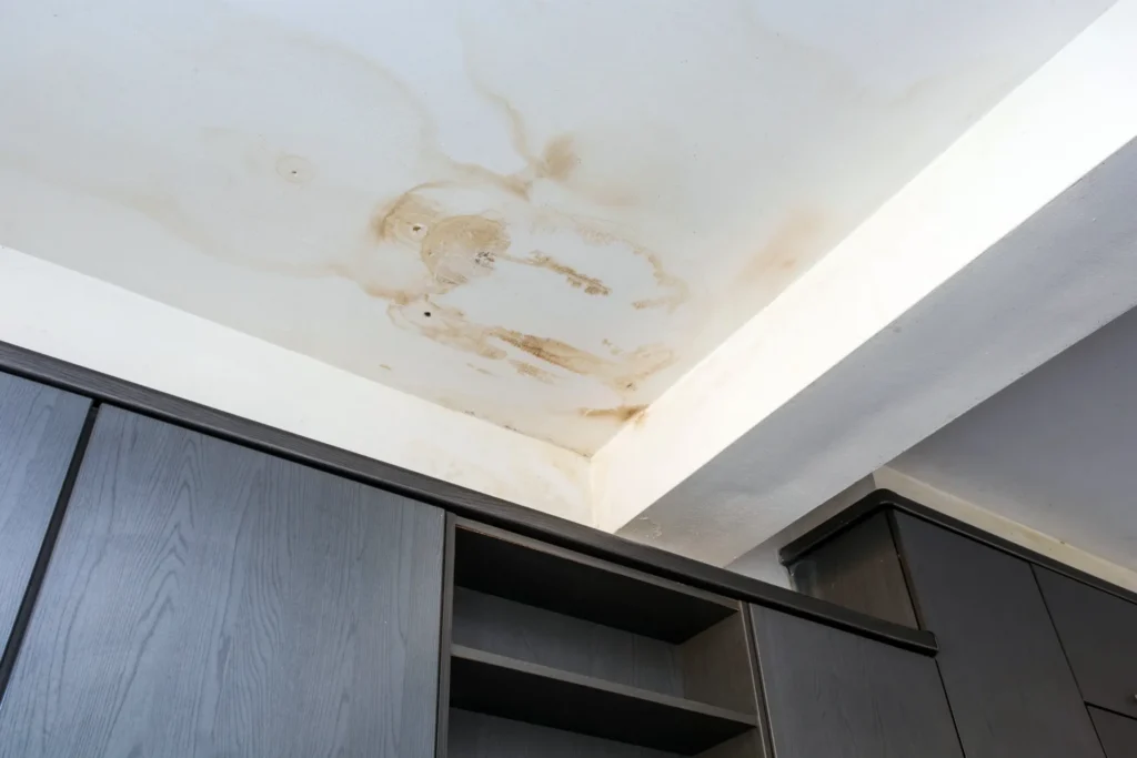 Macomb MI Water Damage Restoration
