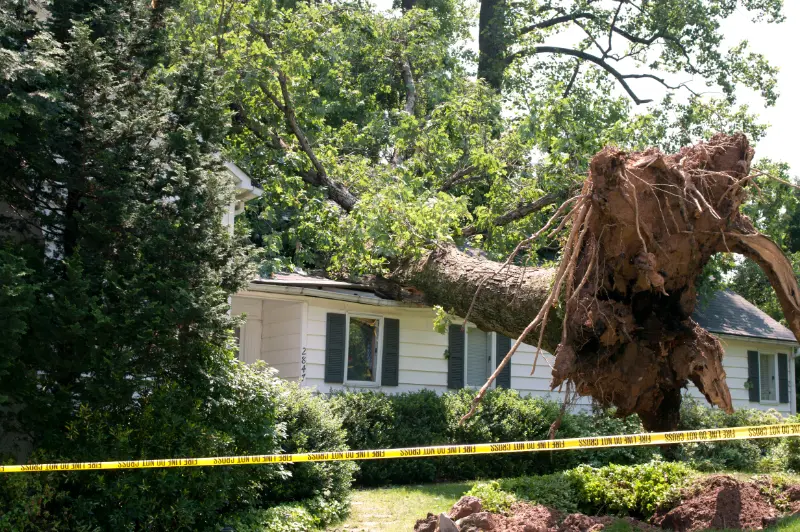 Macomb Storm Damage